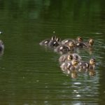 独享男人团VIP优惠券,尽享尊贵购物体验 8r8bua