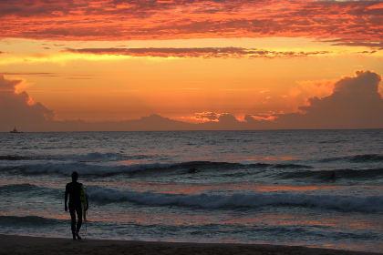 猛犸象与始祖鸟：谁是史前生物中的王者？