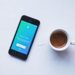 猫咪头条mmtt:探索猫咪世界的趣味与知识 cwmgl8