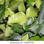 片酷网,你和我的倾城时光:重温青春岁月,感受爱的温暖与成长 kd1ic48a