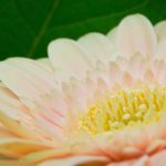 特殊网站分享:探索那些鲜为人知的优质资源网站 l24ocsh