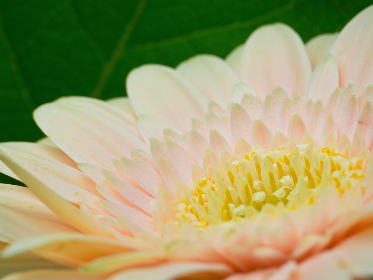 特殊网站分享：探索那些鲜为人知的优质资源网站