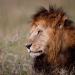 爱美剧下载安卓官网:畅享最新美剧,轻松一键下载体验 pjeyppr