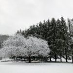 爱笑聚网站:汇聚欢声笑语,分享快乐生活的网络平台 z6amh