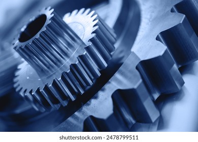 猫咪回家：温暖的归途与主人重聚的感人故事