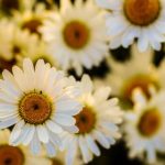 真理影视:探索真实与虚构交织的电影世界 01c88