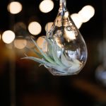 研究所导航入口:全面了解各大研究所资源与服务的指南 300uyr