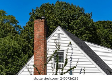 磁力帝vam：探索磁力帝的无限魅力与应用潜力