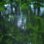 磁力下载工具在线:轻松获取资源的最佳选择与使用指南 8d8trzu51v