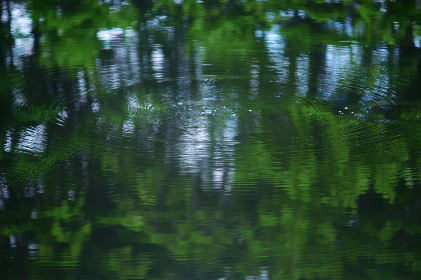 磁力下载工具在线：轻松获取资源的最佳选择与使用指南