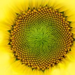 磁力搜索在线:轻松找到你想要的资源与内容 hplvo