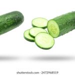 研公社官网:探索前沿研究与学术交流的最佳平台 oaxj84