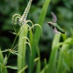 磁力下载器推荐:2023年最受欢迎的五款磁力下载工具解析 w2399