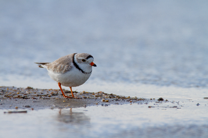 磁力吧 磁力吧 搜索：探索磁力吧的精彩内容与使用技巧