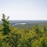 磁力引擎开放平台:探索创新科技与应用的无限可能 zotq2b1sx